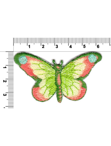 Motyl tęczowy zielony