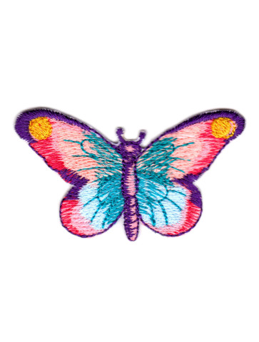 Motyl tęczowy kolorowy