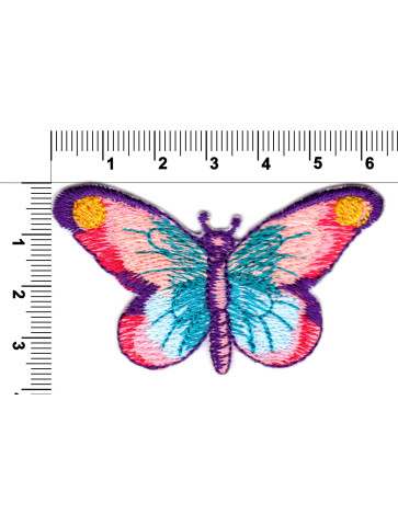 Motyl tęczowy kolorowy