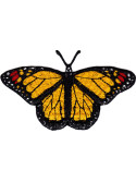 Motyl - monarcha