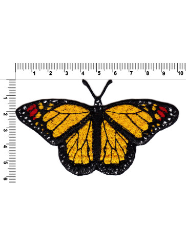 Motyl - monarcha